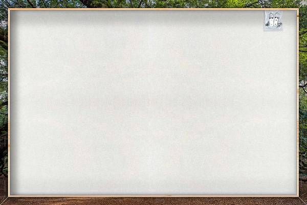 Leinwandbild Faszination Baum Grün - Mischgewebe - Pinie - 80 x 120 x 3.1 cm