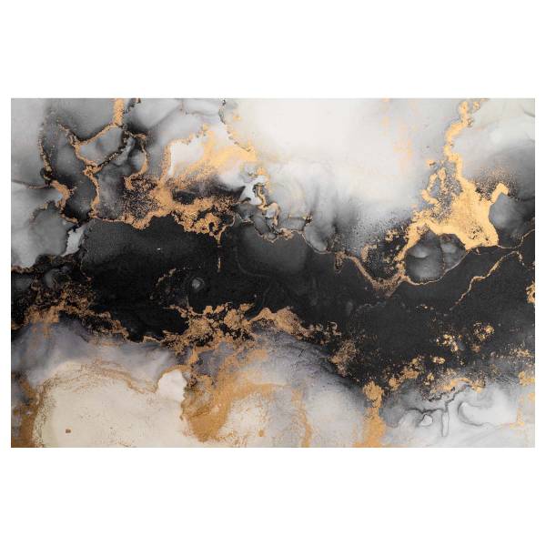 Leinwandbild Gold umspielt Schwarz Schwarz - Weiß - Mischgewebe - Pinie - 80 x 120 x 3.1 cm