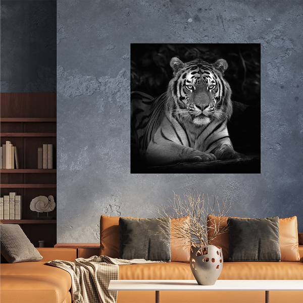 Leinwandbild Imposanter Tiger Typ B Schwarz - Weiß - Mischgewebe - Pinie - 95 x 95 x 3.1 cm