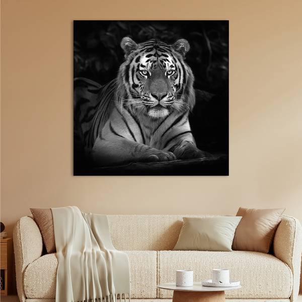 Leinwandbild Imposanter Tiger Typ B Schwarz - Weiß - Mischgewebe - Pinie - 95 x 95 x 3.1 cm