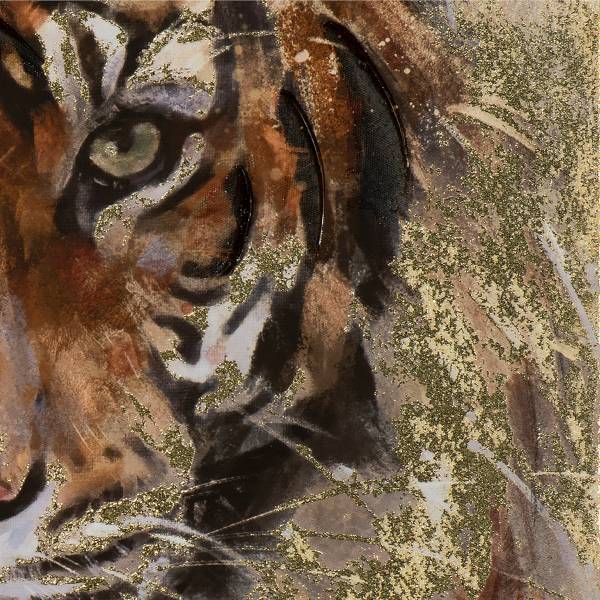 Canvas afbeelding Young Tiger meerdere kleuren - mixweefsel - pijnboomhout - 63 x 93 x 3.7 cm