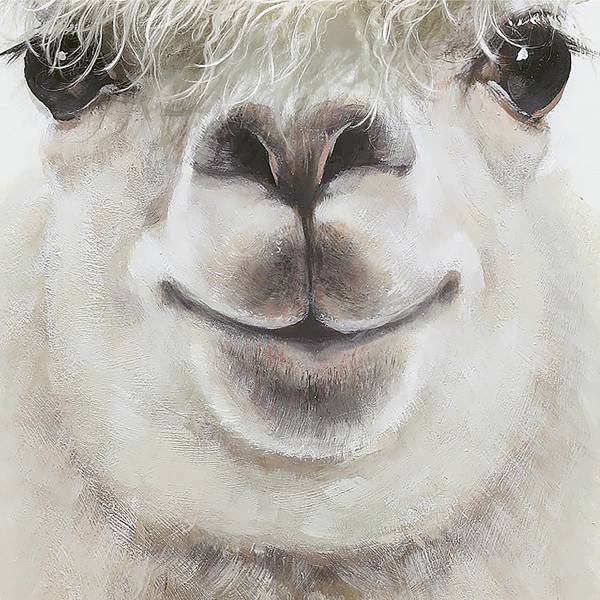 Image Lama Jeune Toile - Beige
