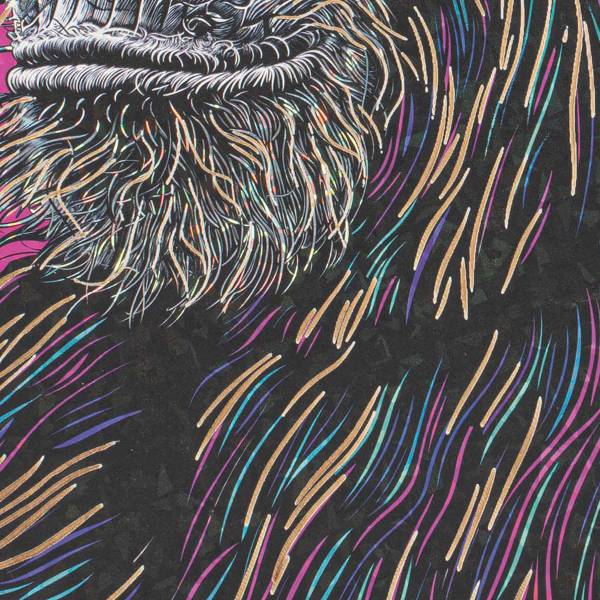 Afbeelding Harry Glitter canvas - bruin/lichtroze/donkerroze