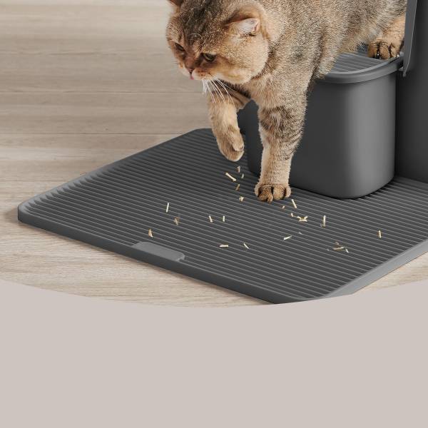 Katzenklo Vamay Grau
