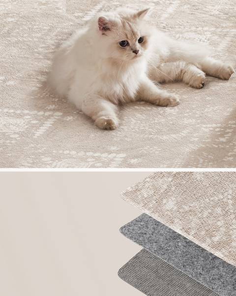 Teppich Kloss Beige - Mischgewebe - 150 x 0.6 x 80 cm