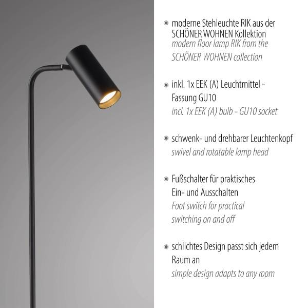LED-Stehleuchte Rik Eisen / Aluminium - 1-flammig