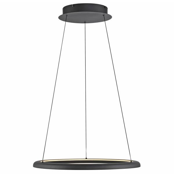 Suspension LED Quillo Verre clair / Métal - 1 flamme - Noir