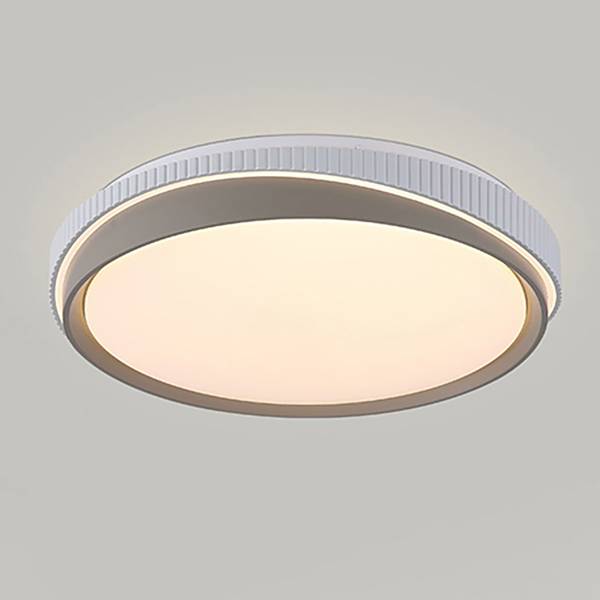 Plafonnier LED Galactic B Fer - Gris / Blanc - 1 flamme