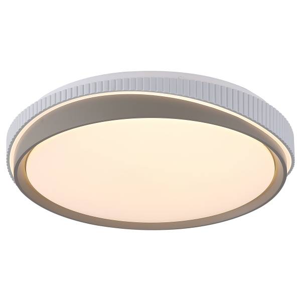 Plafonnier LED Galactic B Fer - Gris / Blanc - 1 flamme