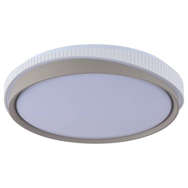 Plafonnier LED Galactic B Fer - Gris / Blanc - 1 flamme