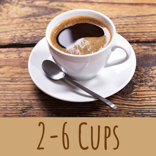 Filterkaffeemaschine Perfect Coffee 6 Schwarz - Edelstahl - Polypropylen - 22 x 16 x 27 cm