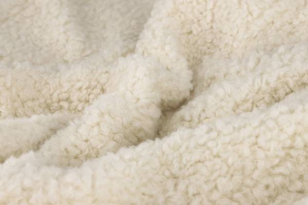 Plaid Teddy Polyester - Creme