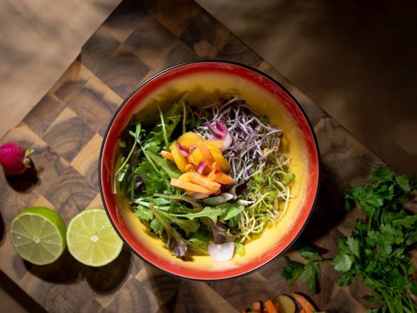 Buddha Bowl Hot 4er-Set Steinzeug - Rot