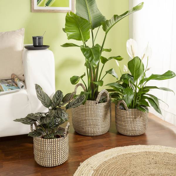 Plantenbak 32/514 zeegras - zwart