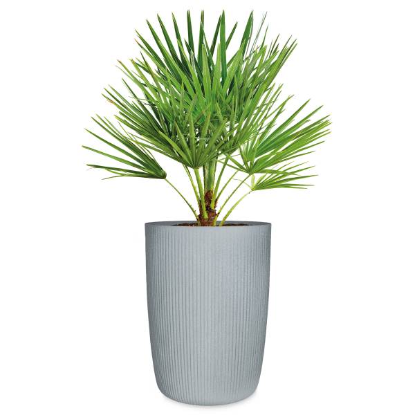 Pflanzengefäß 54/260 Polyethylen - Grau