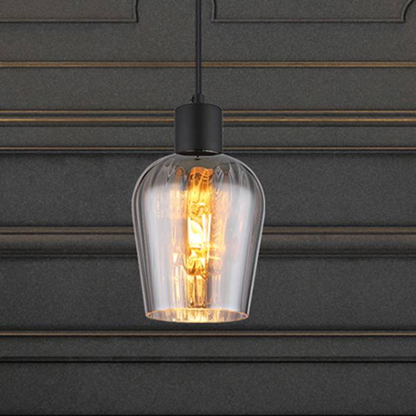 Hanglamp Ryan rookglas/ijzer - Aantal lichtbronnen: 1