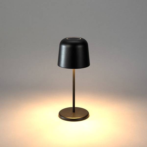 LED-Tischleuchte Biot Aluminium - Schwarz - 1-flammig