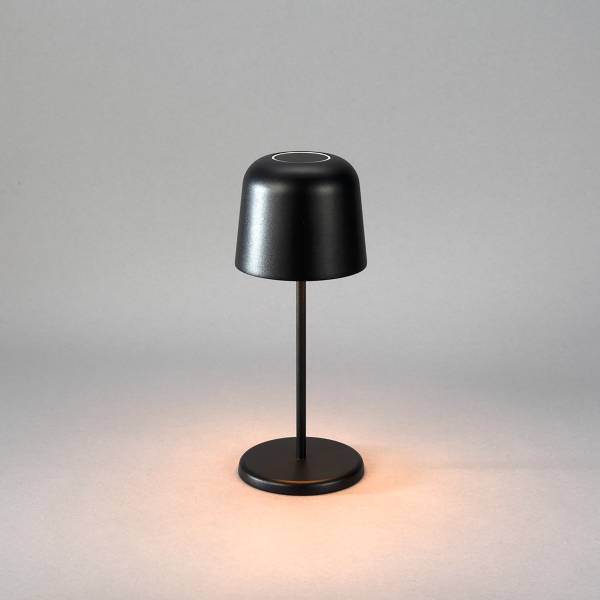 LED-Tischleuchte Biot Aluminium - Schwarz - 1-flammig