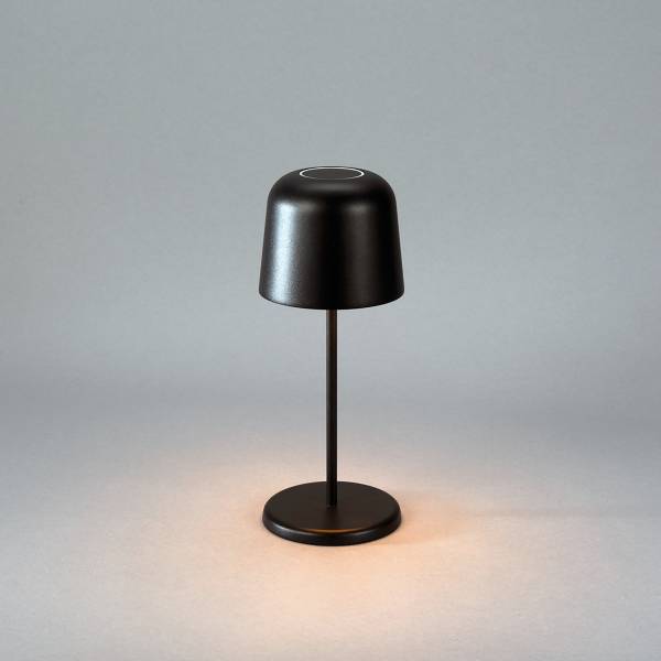 LED-Tischleuchte Biot Aluminium - Schwarz - 1-flammig