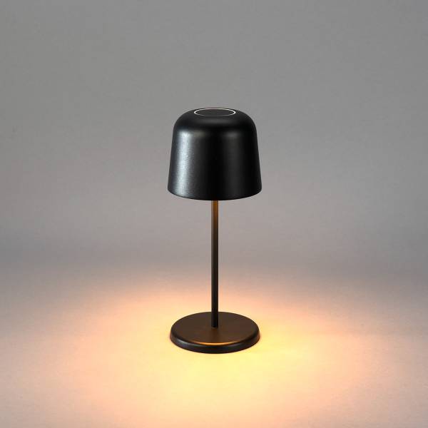 LED-Tischleuchte Biot Aluminium - Schwarz - 1-flammig