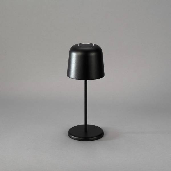 LED-Tischleuchte Biot Aluminium - Schwarz - 1-flammig