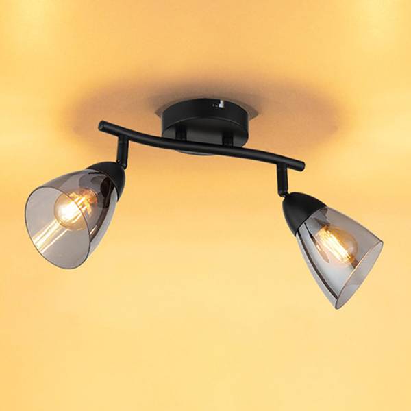 Plafondlamp Paula type B rookglas/ijzer - Aantal lichtbronnen: 2
