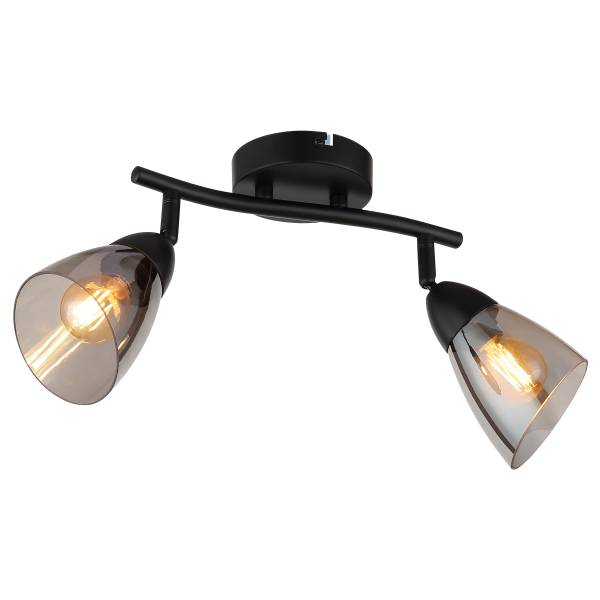 Plafondlamp Paula type B rookglas/ijzer - Aantal lichtbronnen: 2