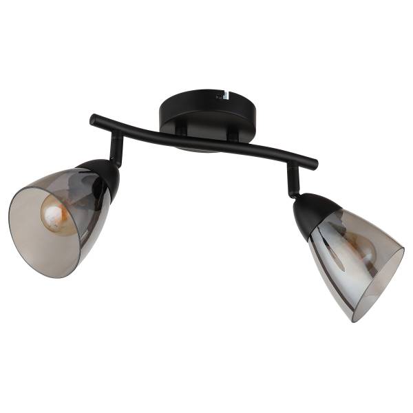 Plafondlamp Paula type B rookglas/ijzer - Aantal lichtbronnen: 2