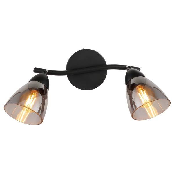 Plafondlamp Paula type B rookglas/ijzer - Aantal lichtbronnen: 2