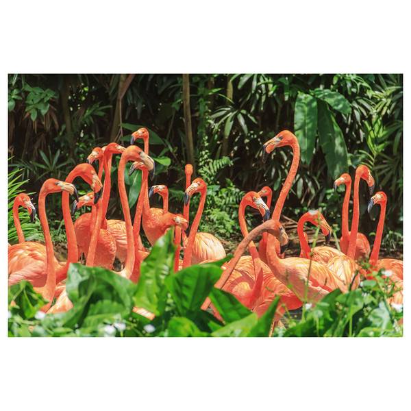 Akustikbild Slim Nette Flamingo Familie Mischgewebe / Aluminium - Schwarz / Weiß