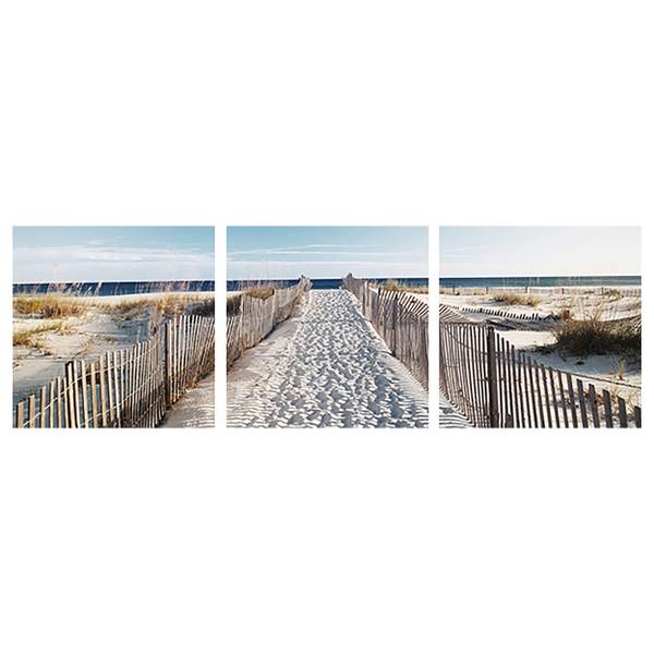 Glasbild Der Weg zum Strand Sicherheitsglas - Schwarz / Weiß