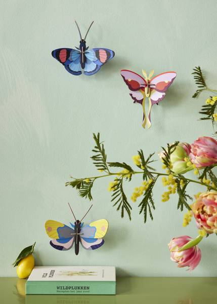 Wandobjekt Elegante Mottenflügel Naturfaser - Papier - 6 x 15 x 14 cm