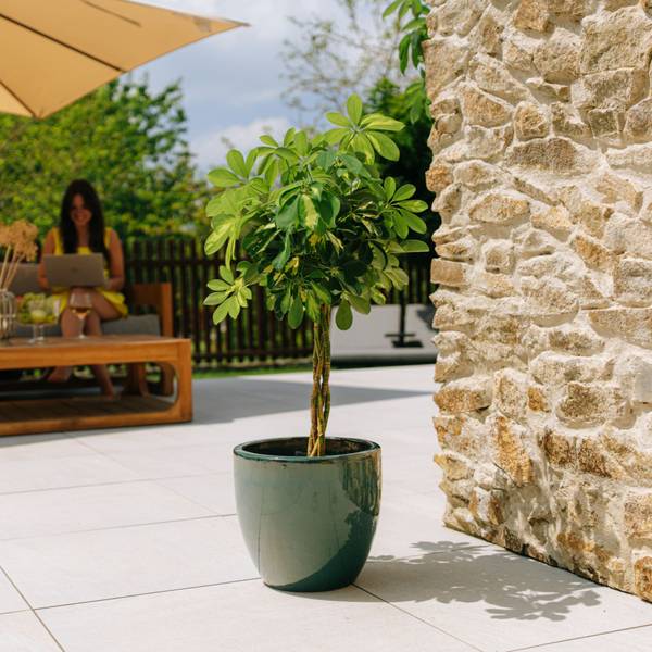 Blumentopf Lancelot 47 x 41 x 47 cm