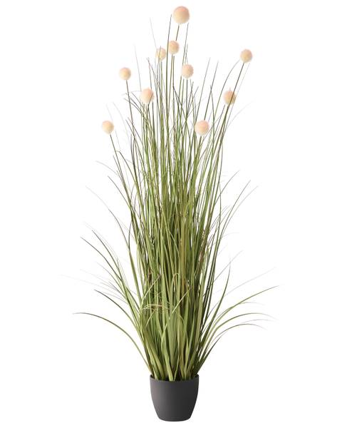Kunstplant POMPOM GRASS zwart - groen - roze - kunststof - 50 x 120 x 50 cm