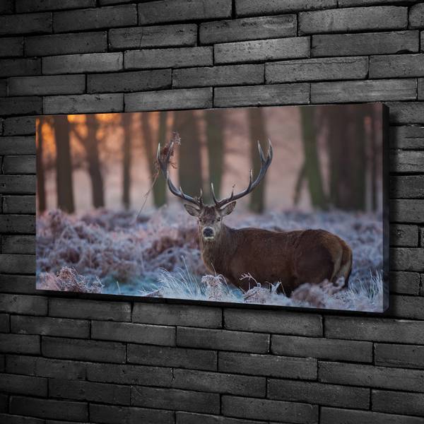 Wandbild Hirsch Sonnenaufgang Braun - Mischgewebe - 100 x 50 x 4 cm