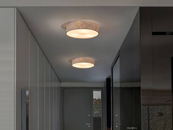 Deckenlampen RENA Silber