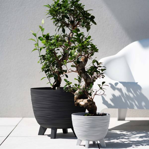 Blumentopf EDANTI 3-er set Weiß - Kunststoff - 4 x 29 x 32 cm