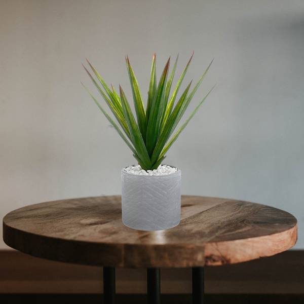 Künstliche Aloe Vera KIMI Grün - Kunststoff - 44 x 47 x 44 cm