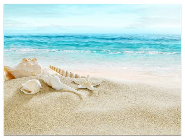 Fototapete Muscheln Strand Sand Wellen 300 x 210 x 210 cm