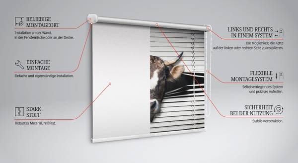 Verdunkelungsrollo VACCA 60 x 140 cm