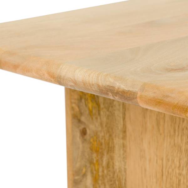 Couchtisch DIYA Braun - Mango - 120 x 46 x 75 cm