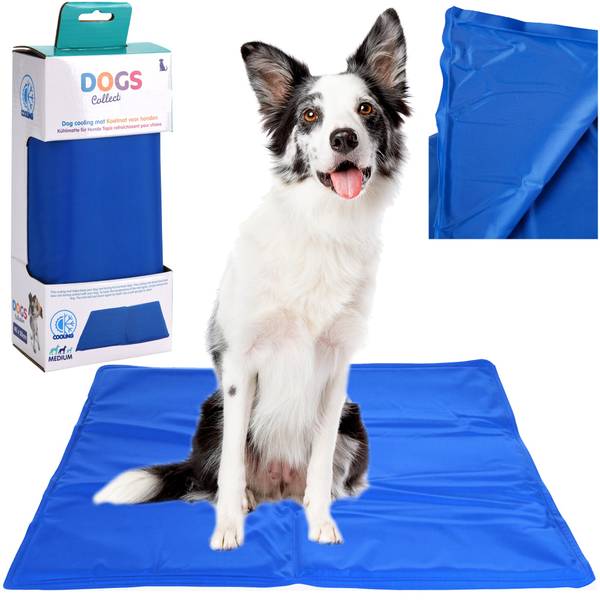Hundematten Box Blau - Textil - 40 x 1 x 50 cm