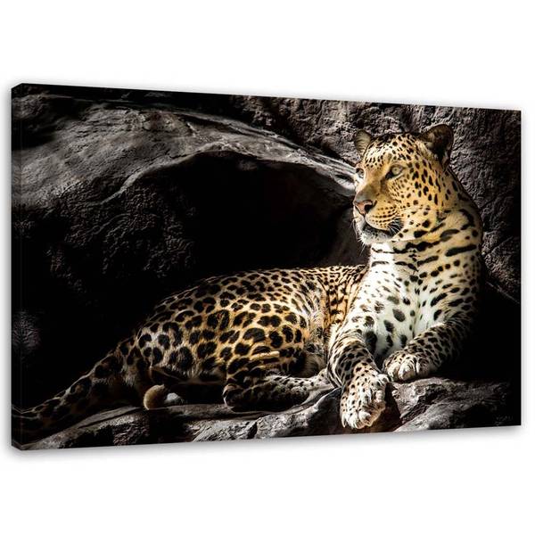 Wandbild leopard auf felsen 90 x 60 cm