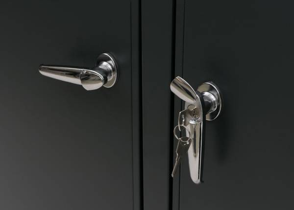 Cache-poubelle 2 places O67 Anthracite - Largeur : 132 cm