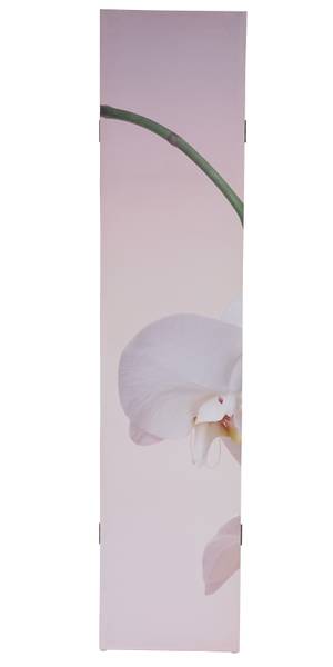 Foto-Paravent Bagheria Pink - Weiß - Holz teilmassiv - 120 x 180 x 2 cm