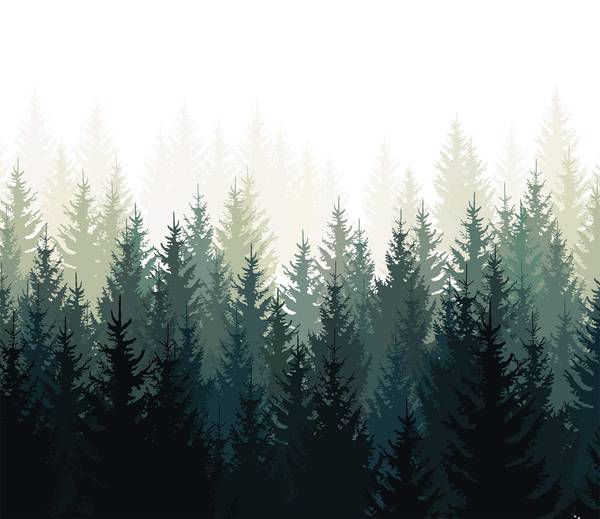 Tapete Lärchenwald Grün - Papier - 312 x 270 x 1620 cm