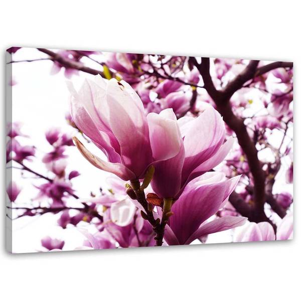 Tableau déco magnolia en fleurs 90 x 60 cm
