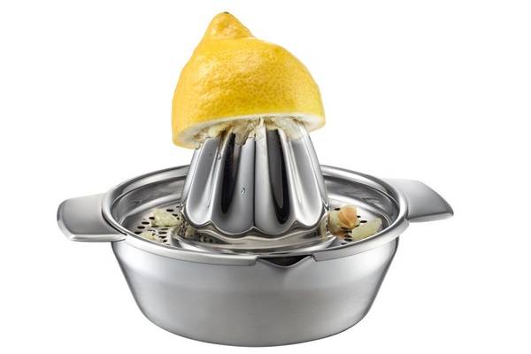 Handgemachte Zitruspresse Silber - Metall - 17 x 14 x 17 cm