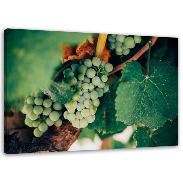 Wandbild trauben 90 x 60 cm