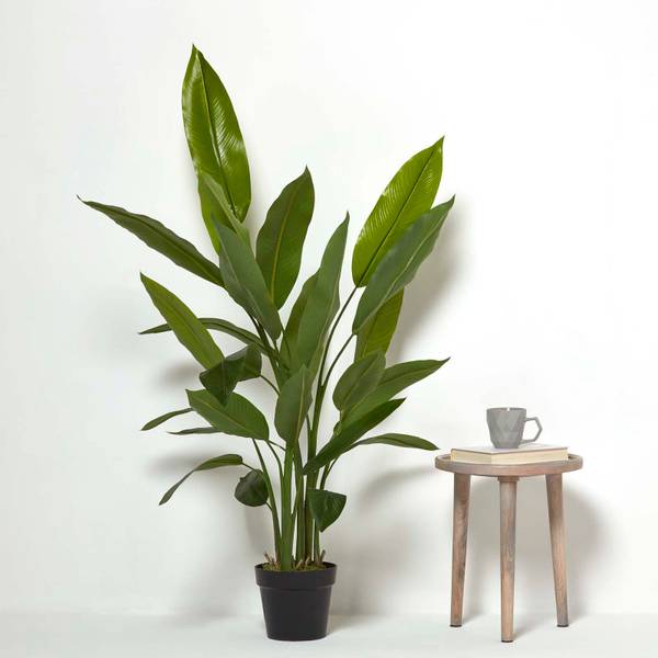 Heliconia Artificielle AP1604 Vert - Polyester - 18 x 140 x 140 cm